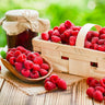 Heritage Everbearing Raspberry - USDA Organic