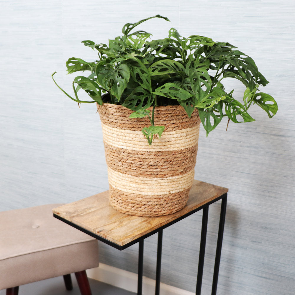 Jute Woven Basket Pot - Striped