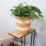 Striped Jute Woven Basket