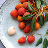 Lychee Tree