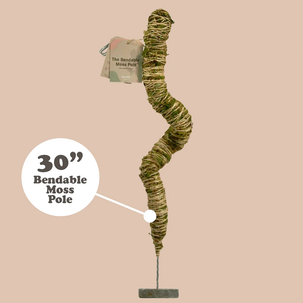 The Original Bendable Moss Poles for Sale