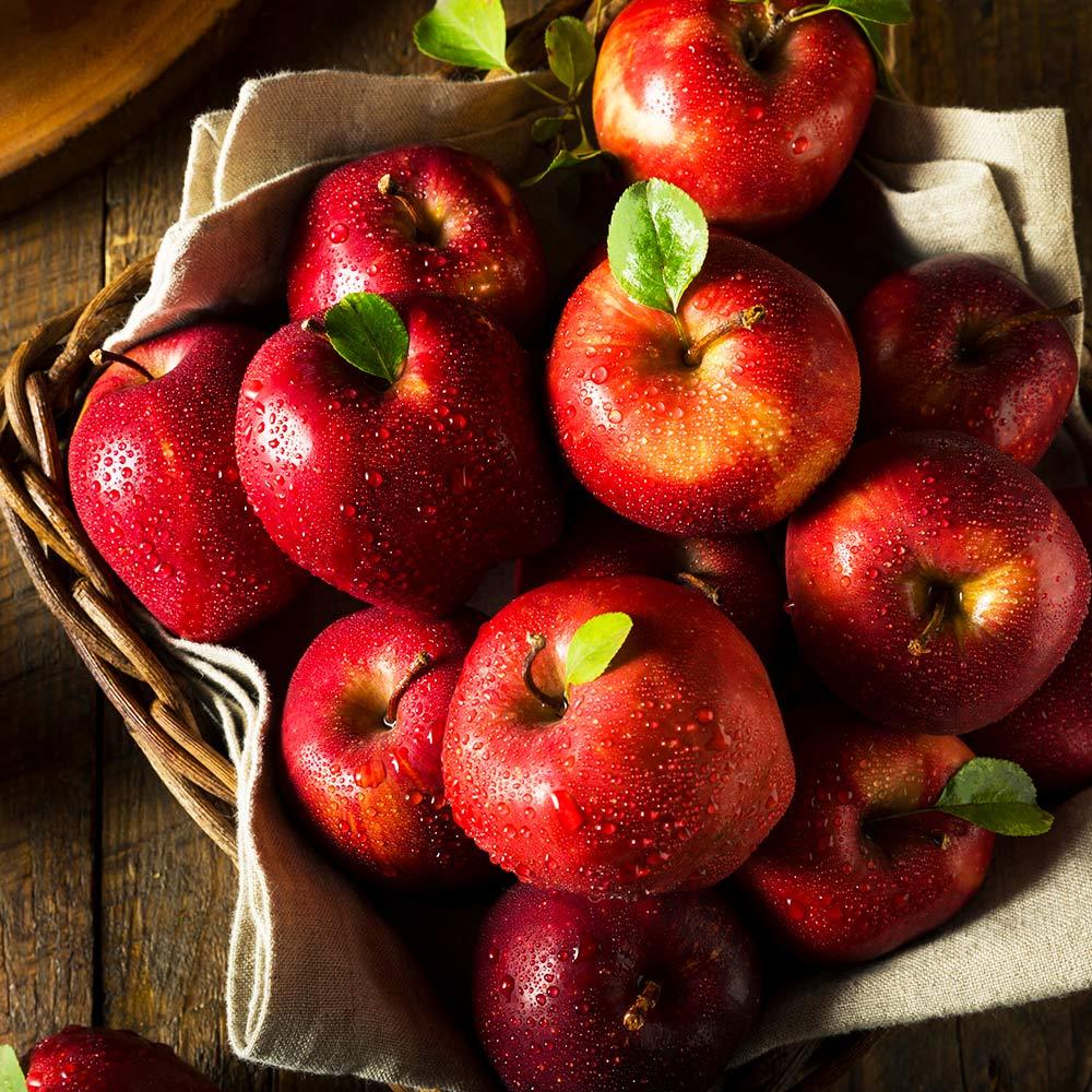 red delicious apple recipes