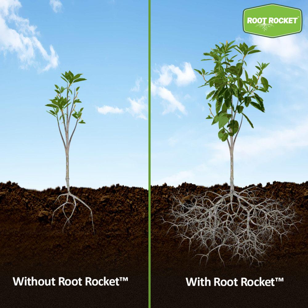 Root Rocket Fertilizer Packs for Sale – FastGrowingTrees.com