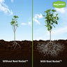 Root Rocket Fertilizer Packs for Sale | FastGrowingTrees.com