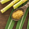 Sugar Cane