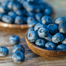 Top Hat Blueberry Bush