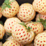 Pineberry