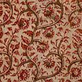 Rosebush