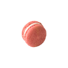 Strawberry Macaron 