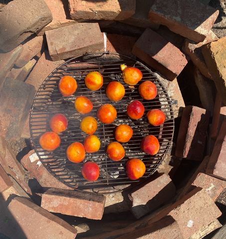 grilled peaches