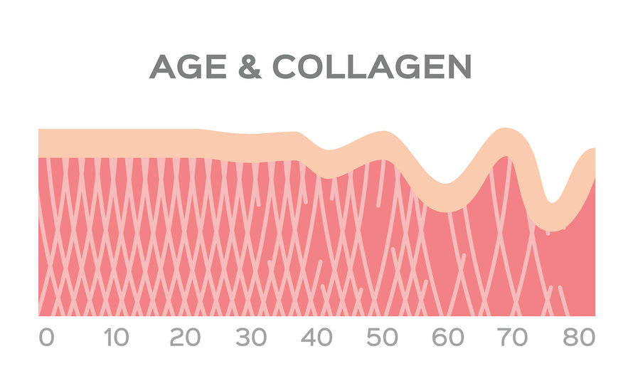 Collagen and aging