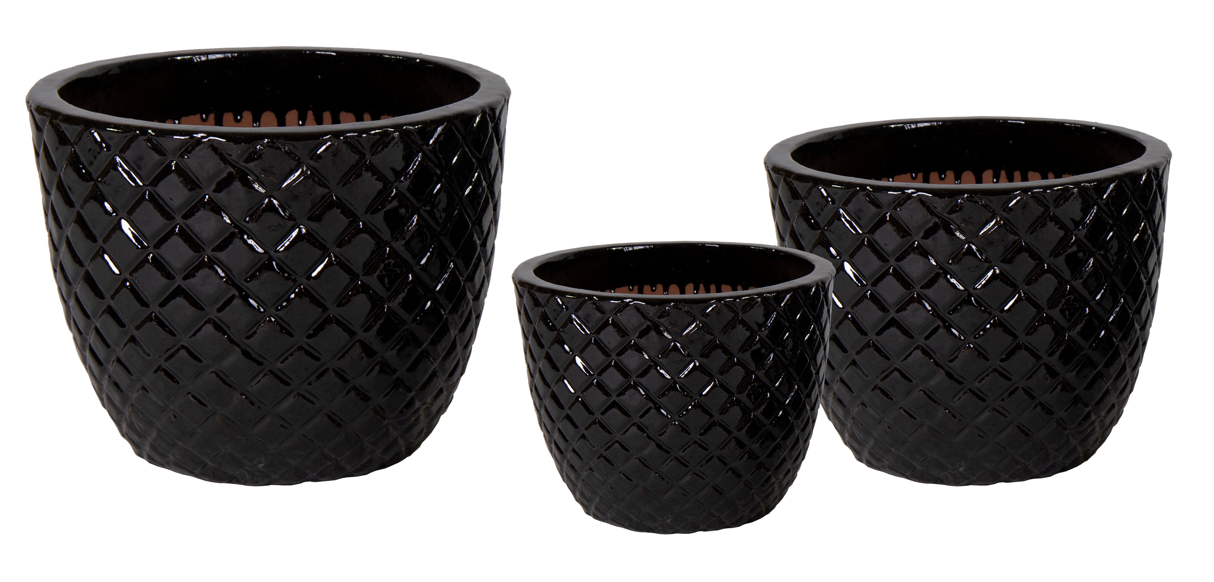 Glazed Egg Pineapple Shiny Black S3 D22/38H18/30