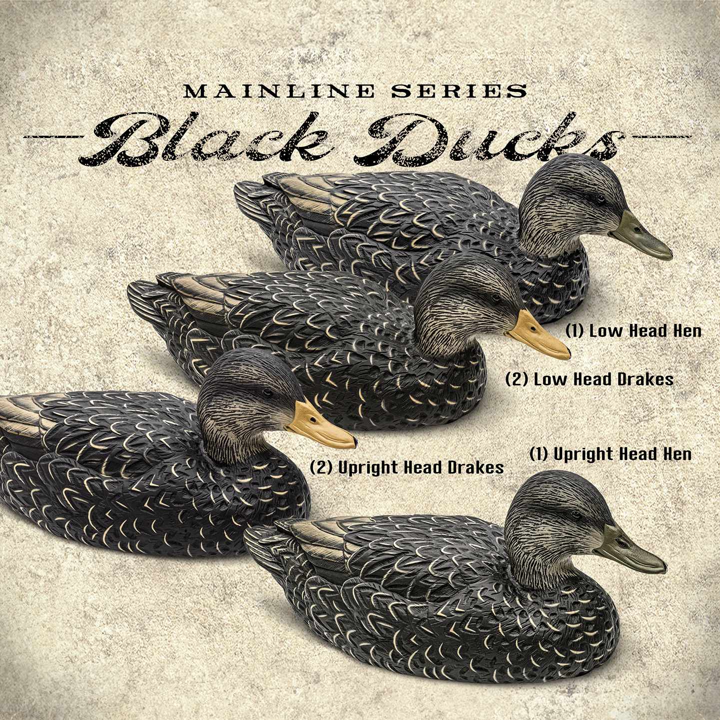 Blackducks_Art@0.5x.png__PID:aabe5168-0c17-407e-9cea-ac056f2e4767