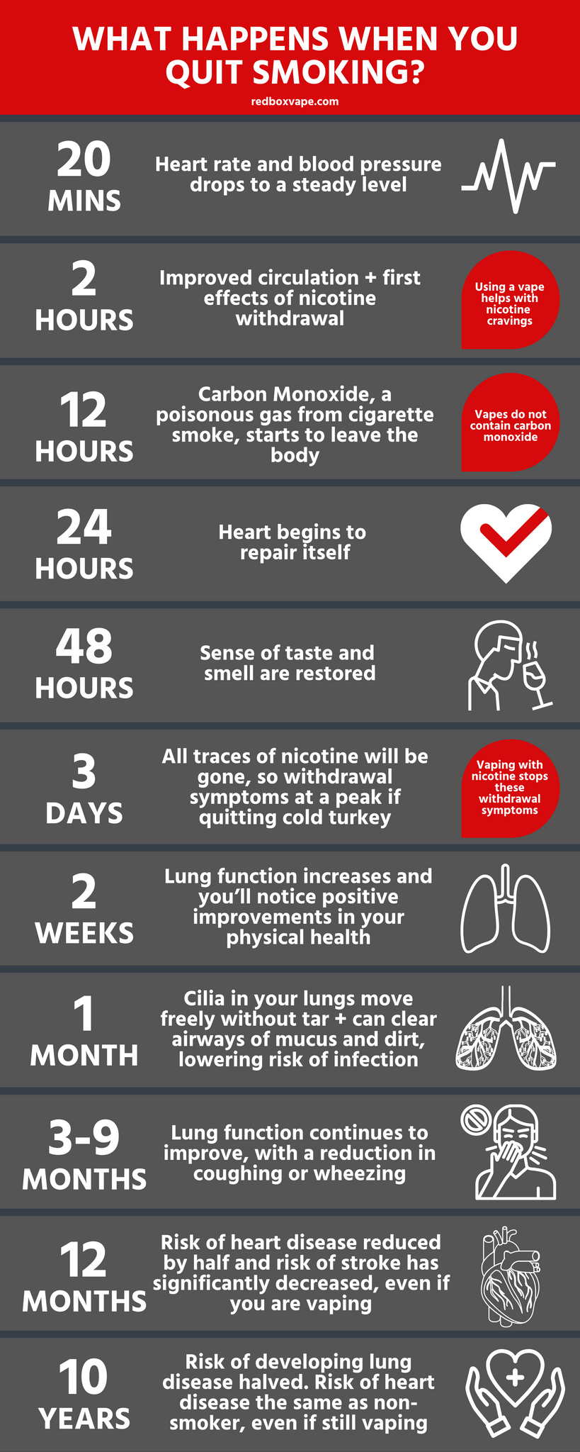 Quit Smoking Timeline: What Happens When You Stop Smoking (Benefits)