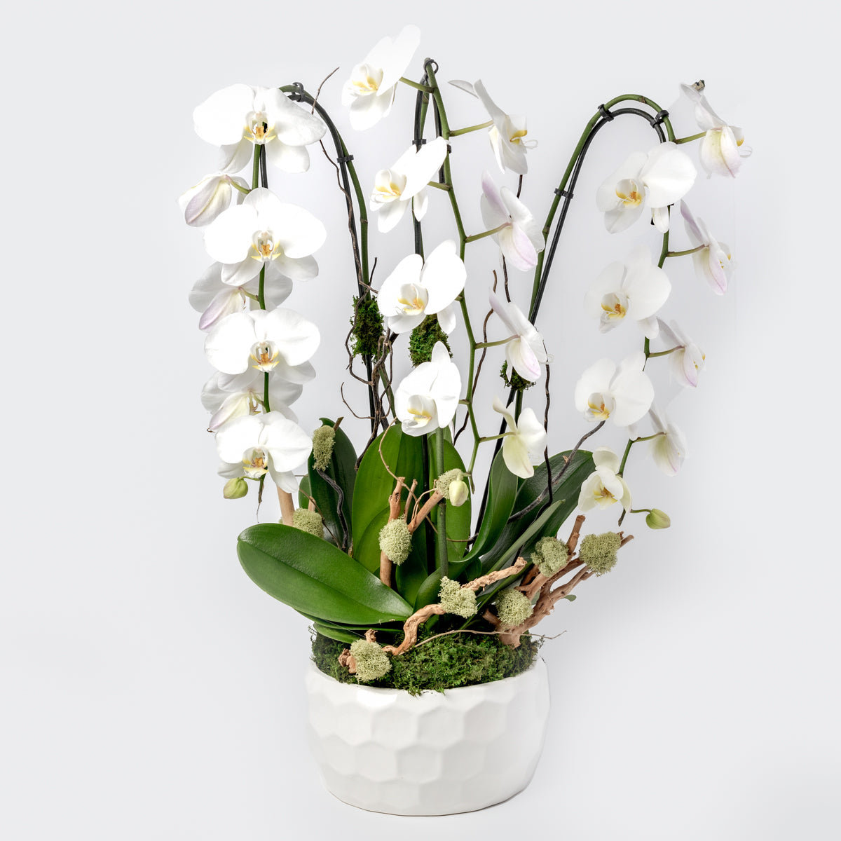 orchid flower arrangements