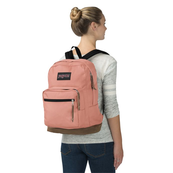 jansport muted clay