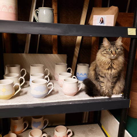 Colorful pottery mugs and kitty