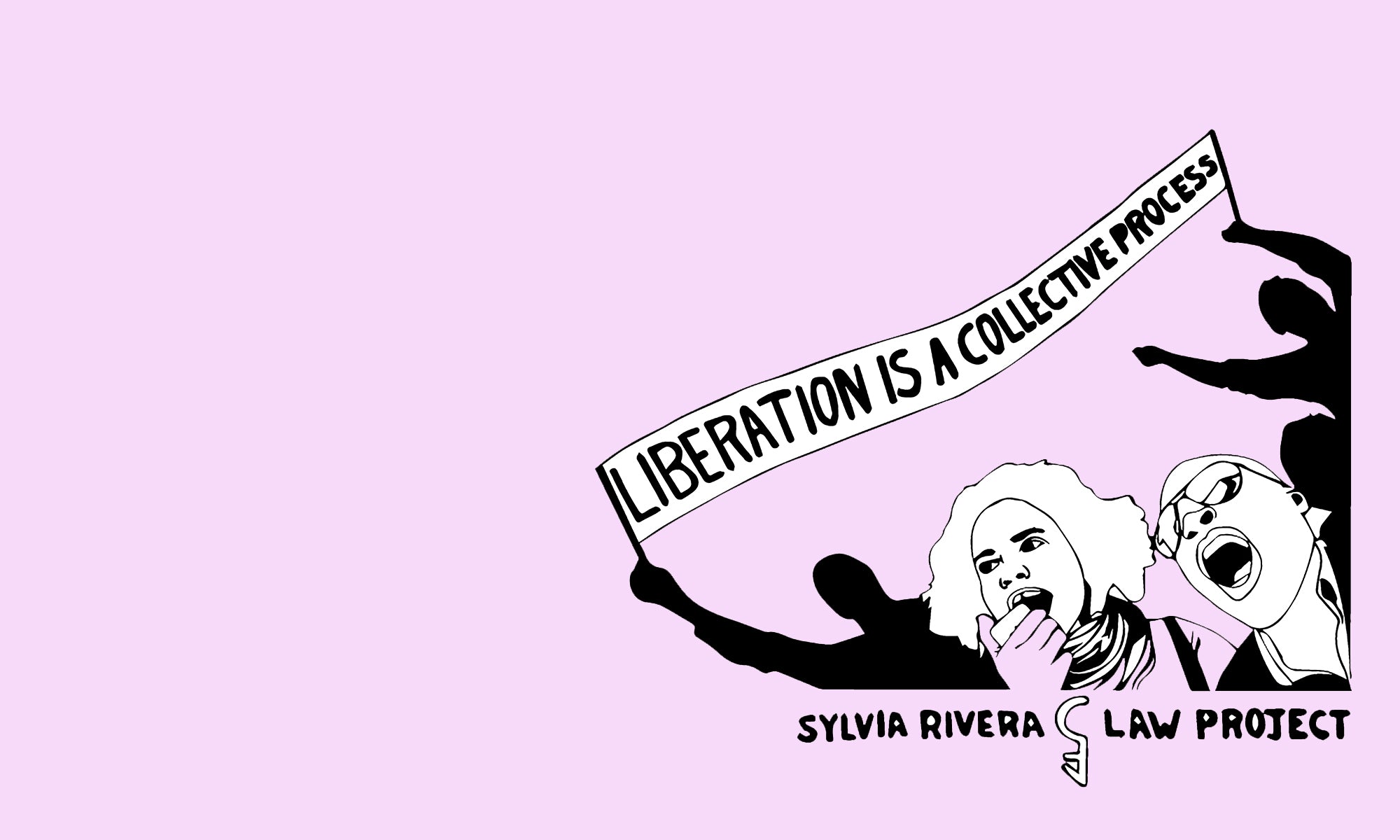 Sylvia Rivera Law Project image