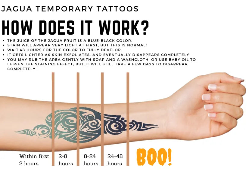 Black Jagua Temporary Tattoo Kit With Stencils  12 oz  HennaCity