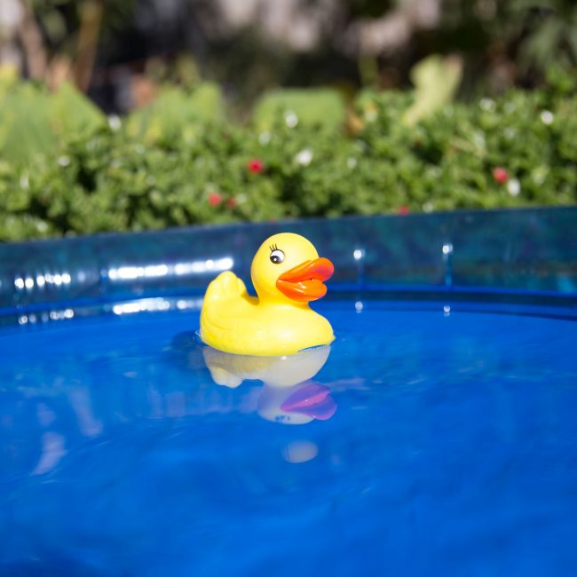 PLaygro rubber duckie floating on the water pool