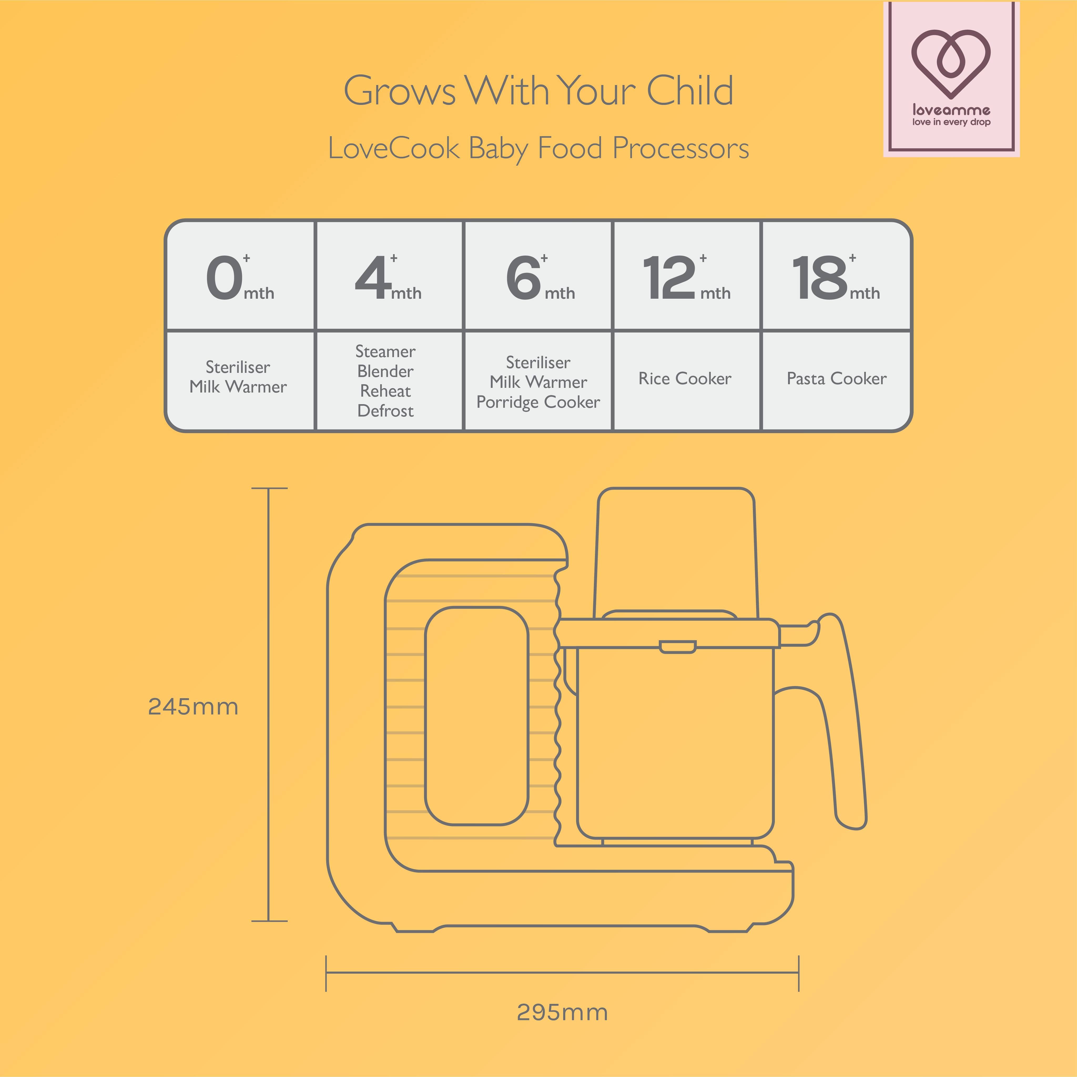 Loveamme lovecook pro food processor for baby food recipe at different age stage from newborn until toddler