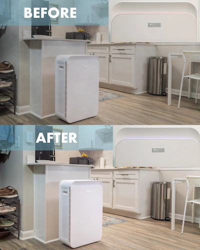 Trio Plus Before and After