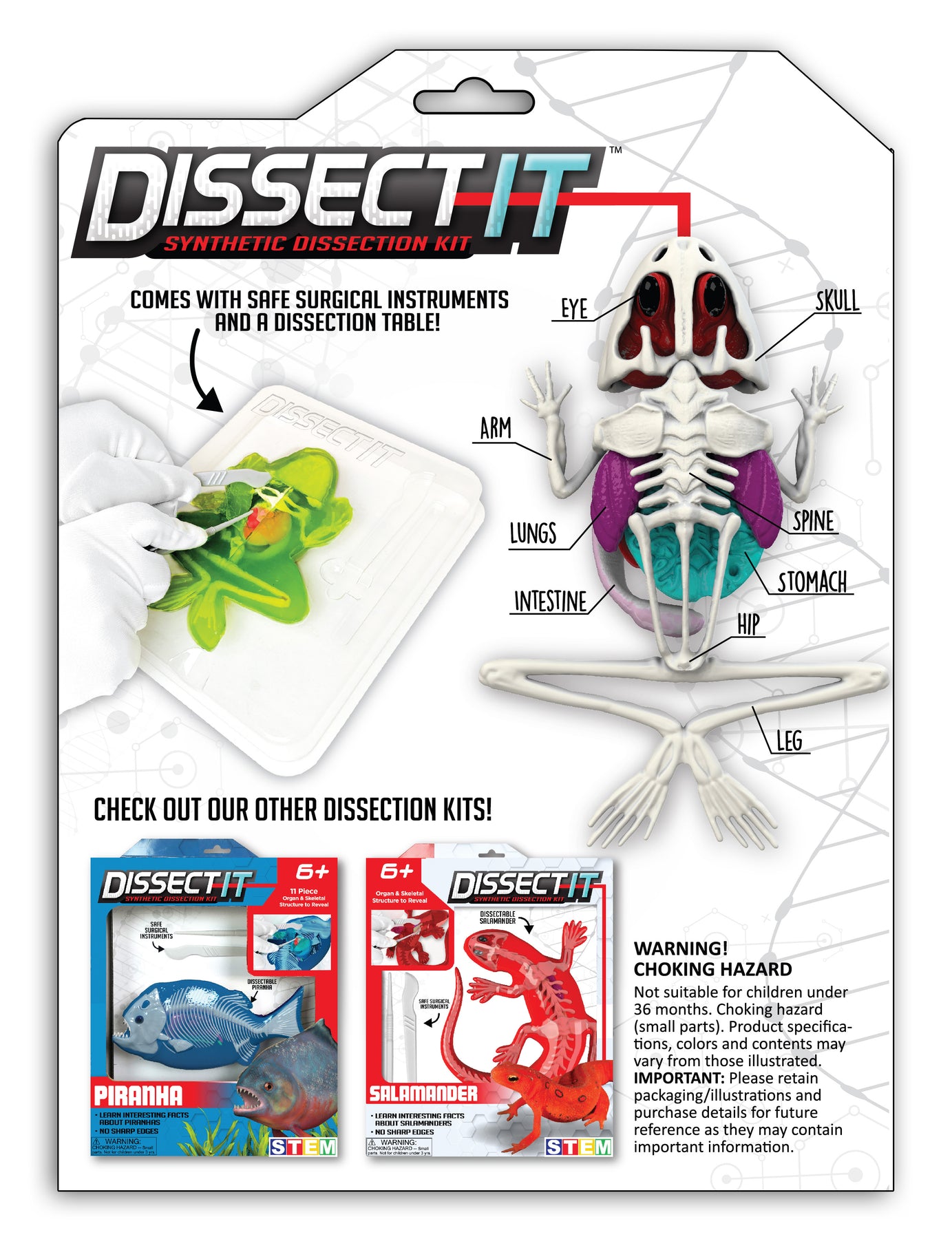 virtual frog dissection kit