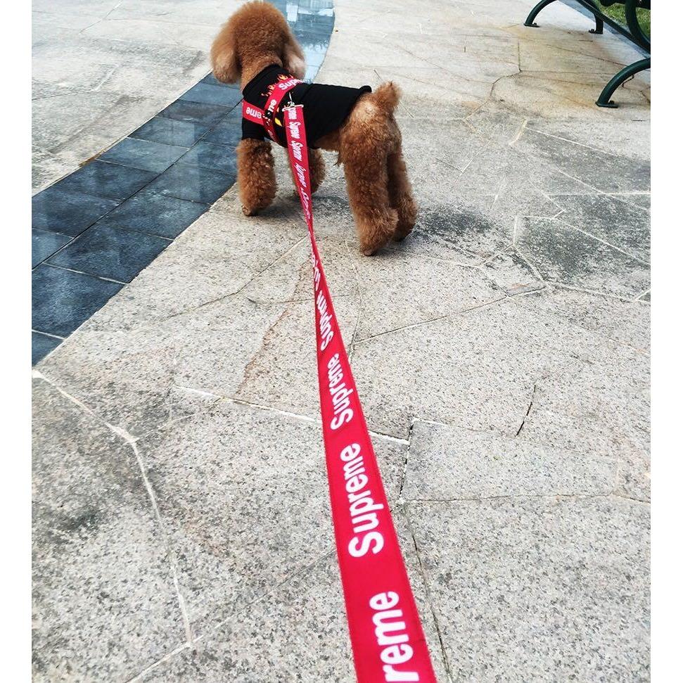 supreme dog collar and leash