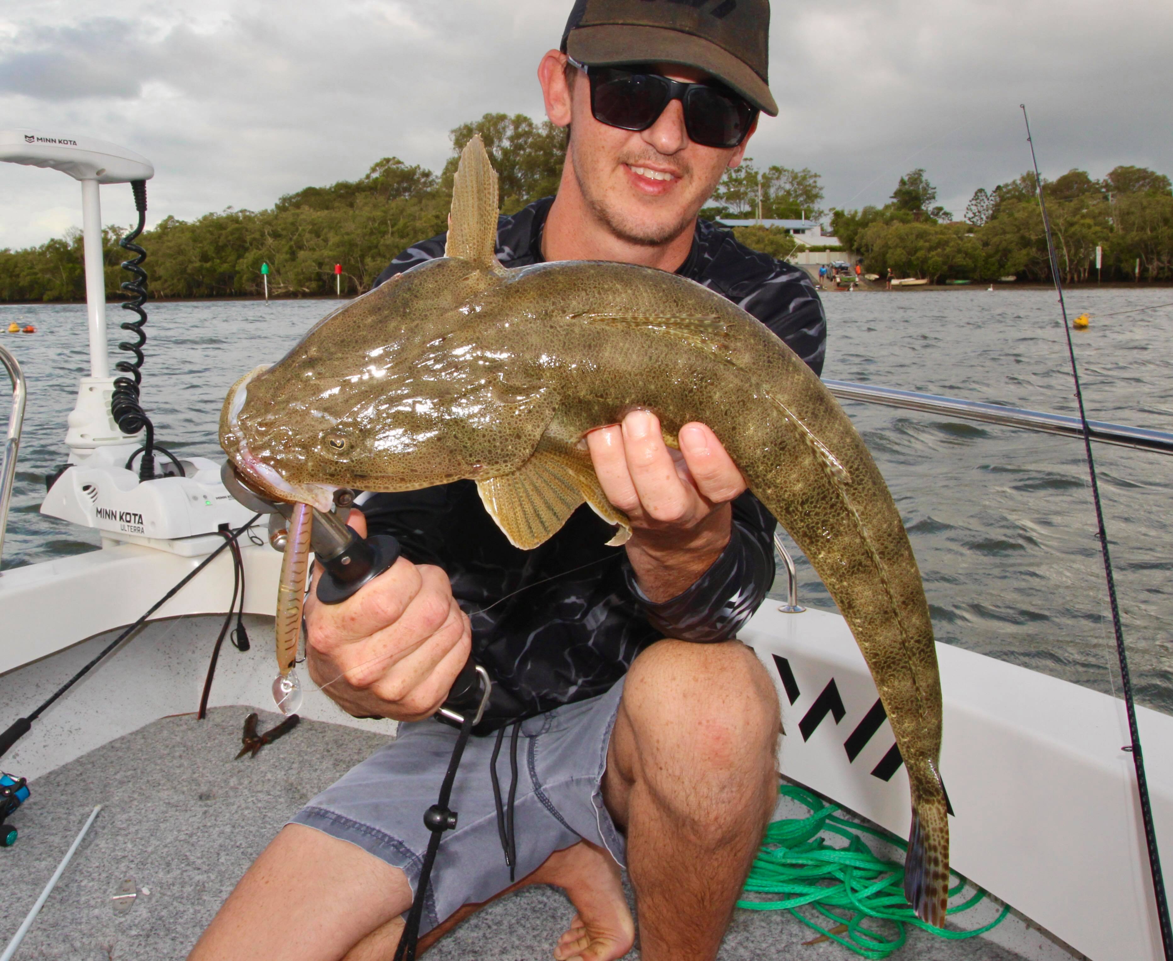 Flathead Catfish Tactics and Baits 