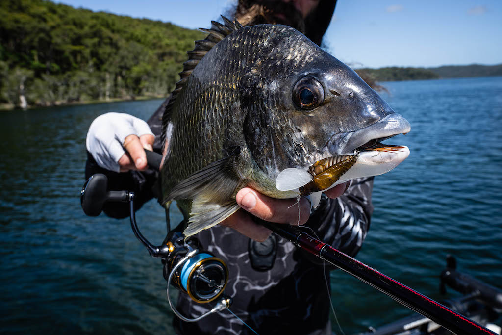 How to Catch Bream on Infeet Slippery Dog Surface Lures – Daiwa Australia
