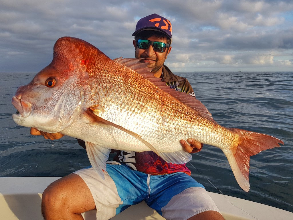 Light Line For Big Reds – Daiwa Australia