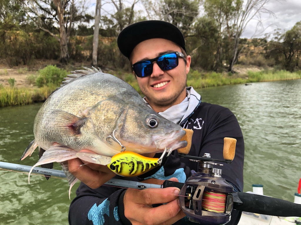 Landbased Series: Adelaide Region – Daiwa Australia