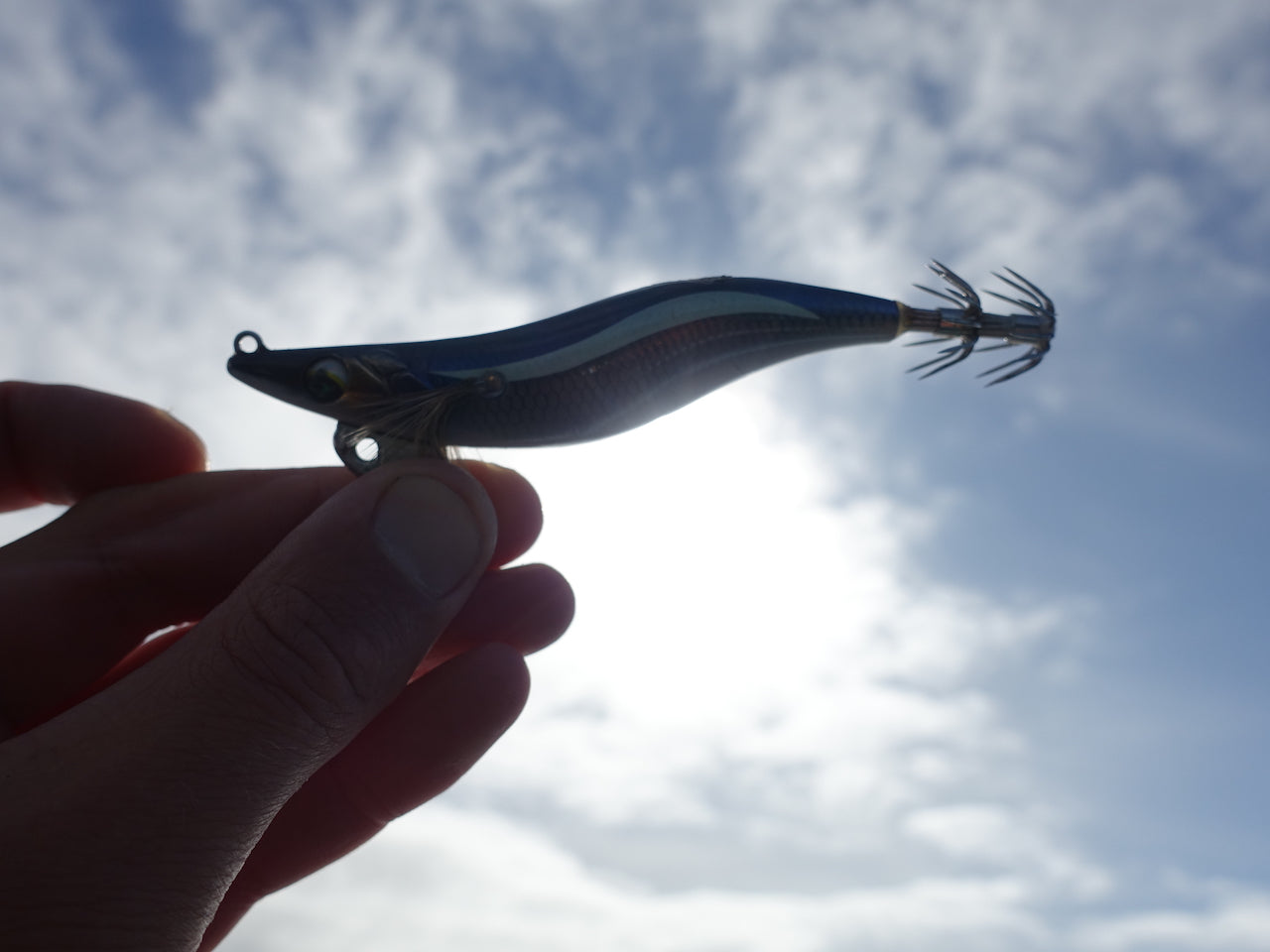 Picking The Right Squid Jig – Daiwa Australia