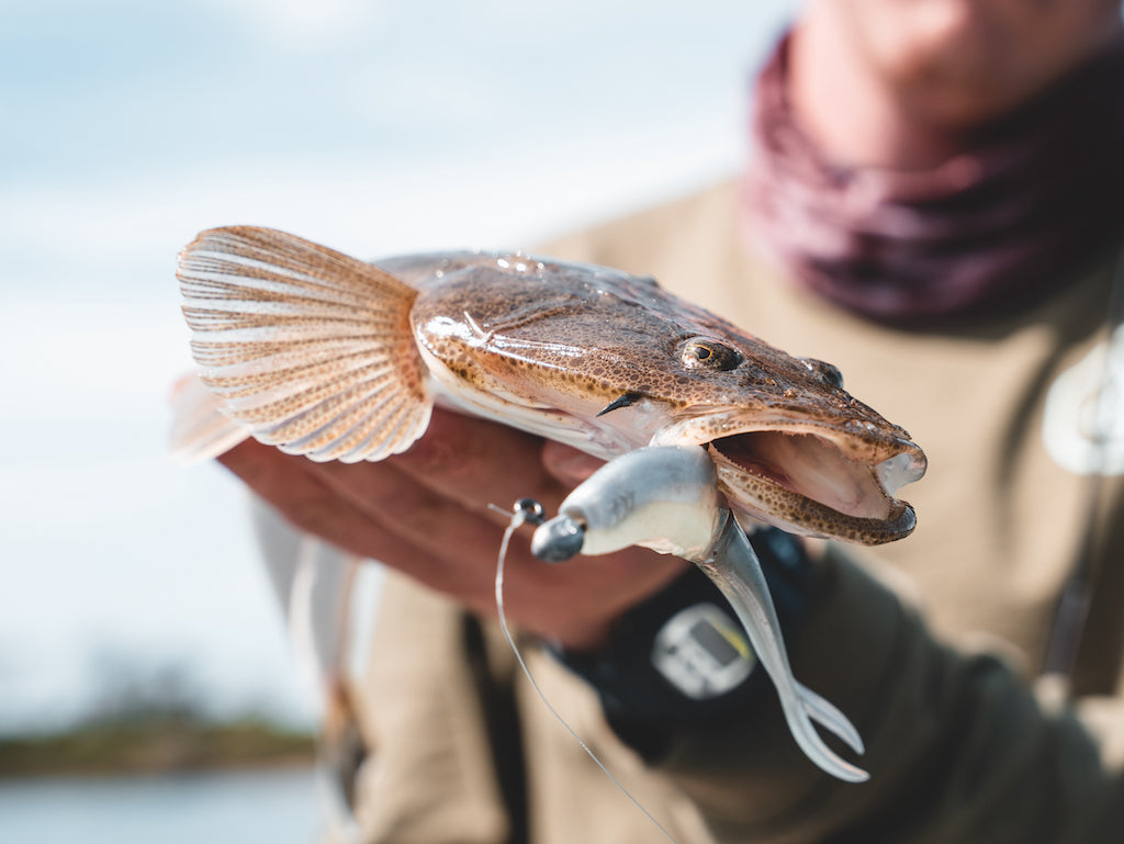 How to Catch Flathead: A Complete Guide – Daiwa Australia