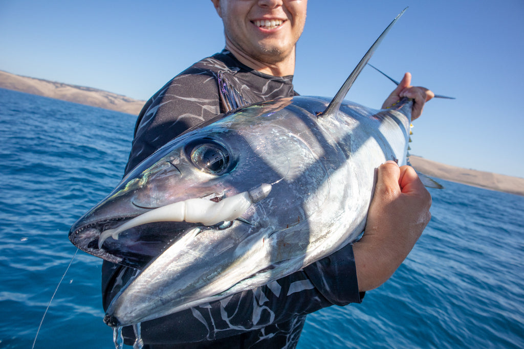 How to Cast for Tuna – Daiwa Australia