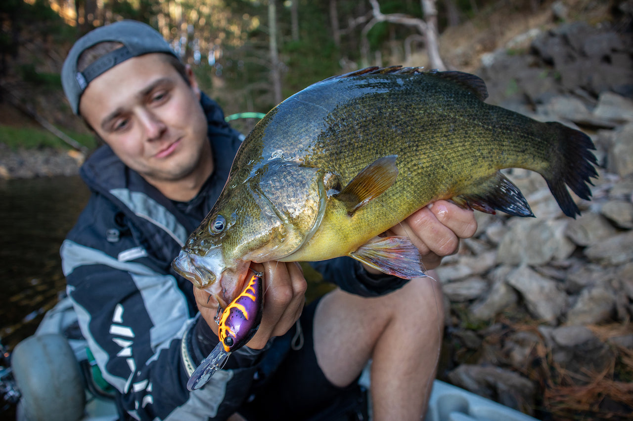 How to catch Murray Cod and Golden Perch 