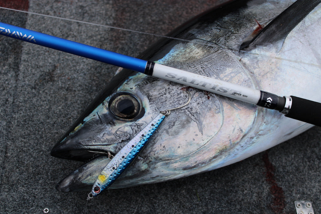 How to Catch Summer Blue Fin Tuna – Daiwa Australia