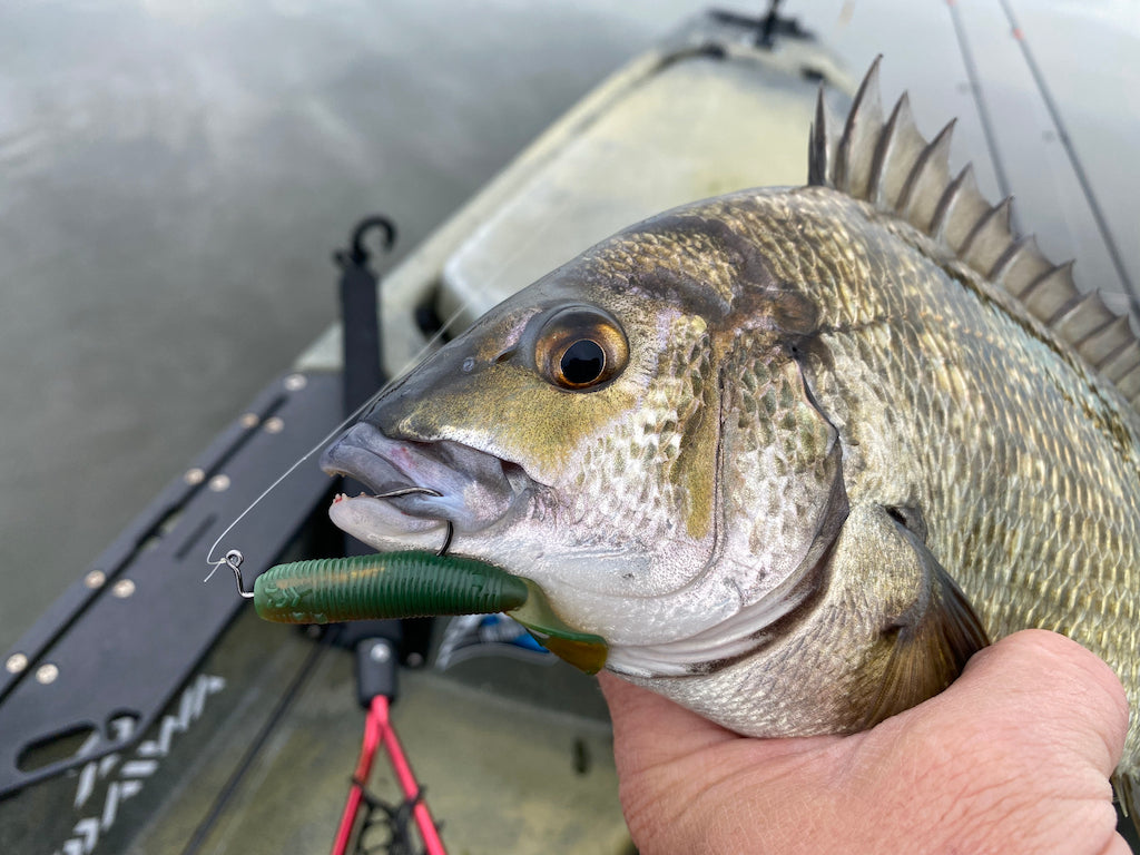 How To Properly Set Your Hook When Using Soft Plastics [VIDEO]
