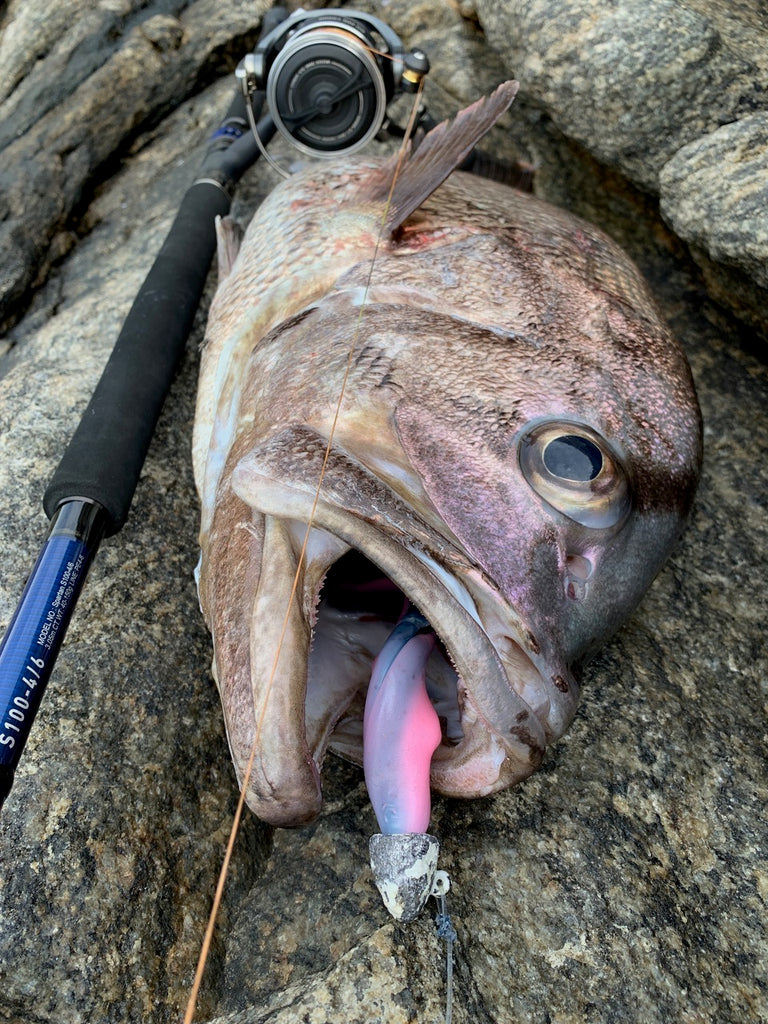 Offshore Angler Shad