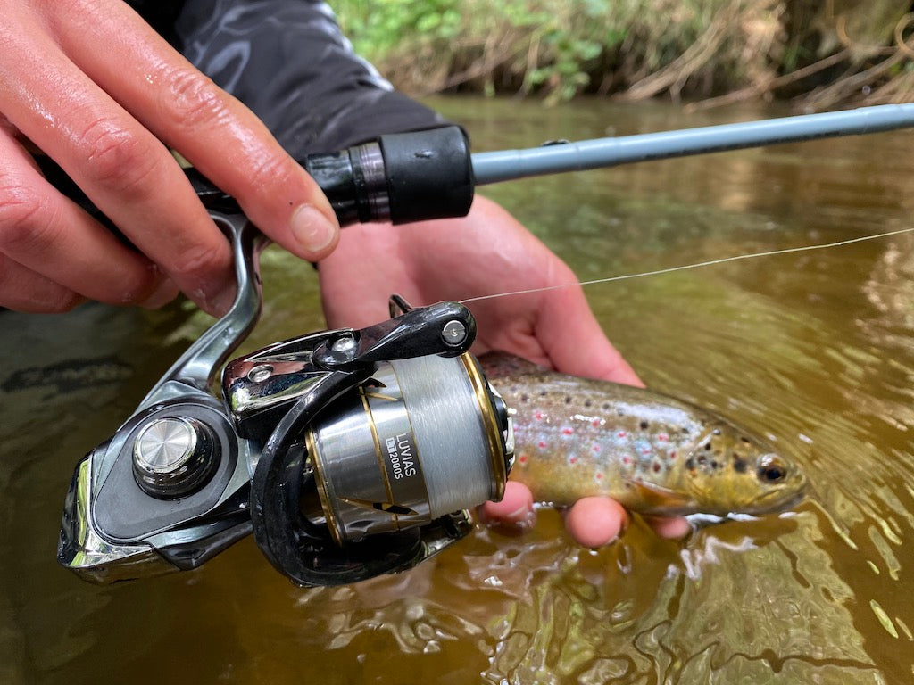 Choosing the right reel size for trout fishing