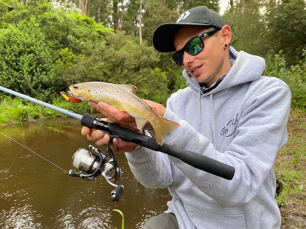How to Catch Stream Trout – Daiwa Australia