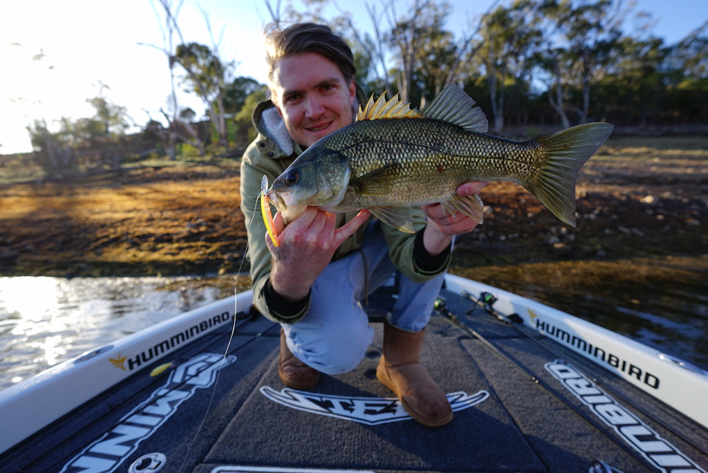 How to Catch Bass on Jerkbaits – Daiwa Australia