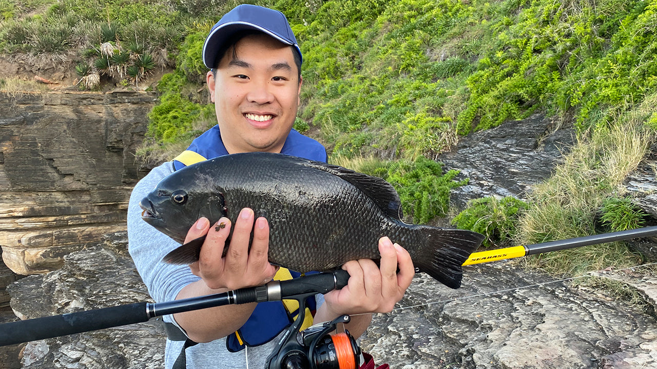 Selecting a Rod and Reel for Catching Pigs and Blackfish – Daiwa Australia