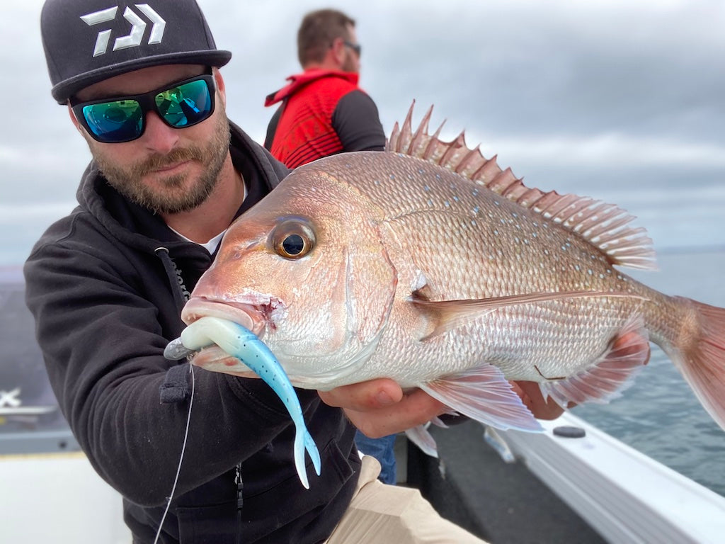 How To Catch Shallow Water Snapper – Daiwa Australia