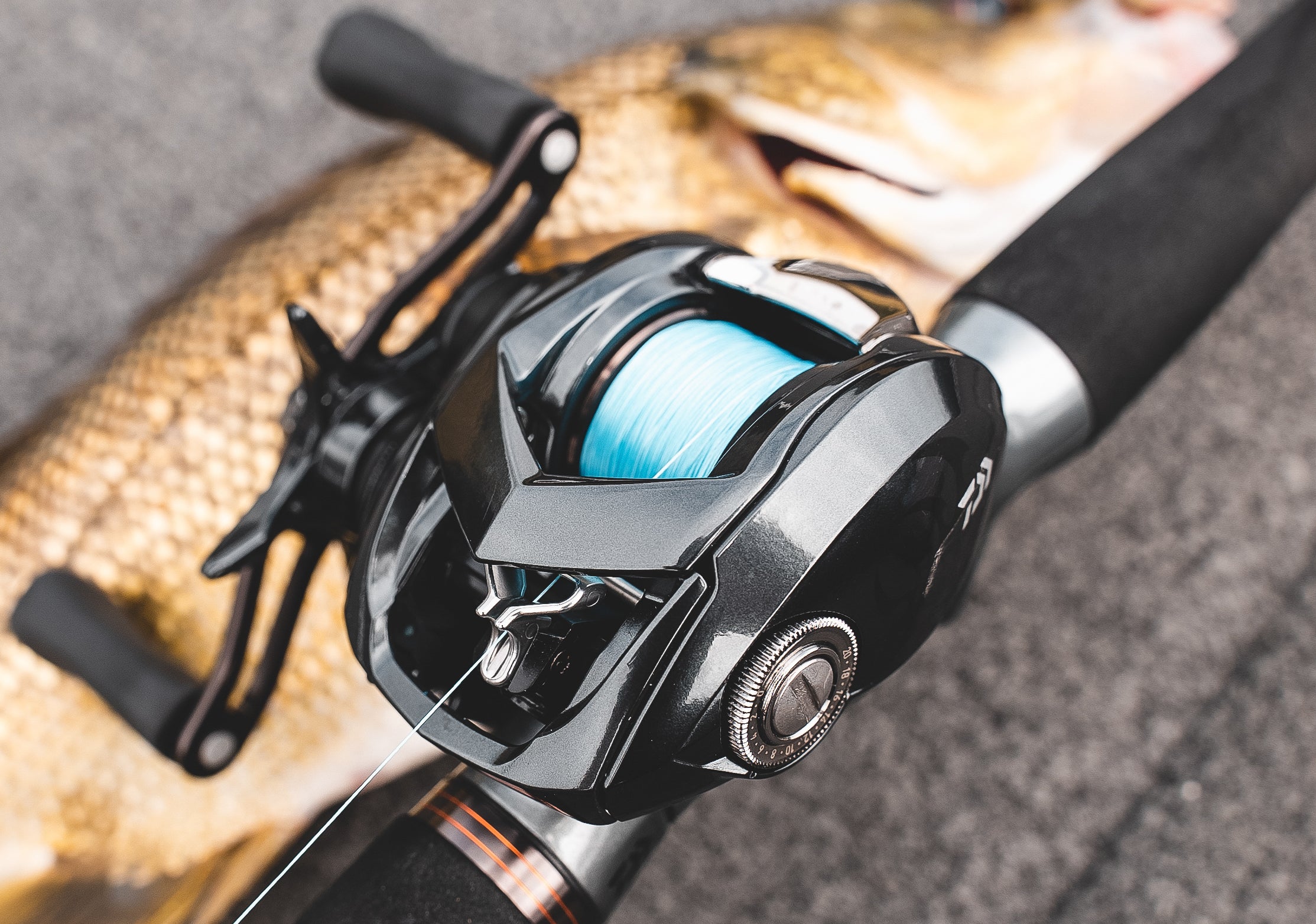 Have to say, the new Daiwa Tatula SV 70 is just amazing. Paired it