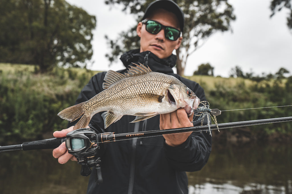 How to Catch Australian Bass in Rivers – Daiwa Australia