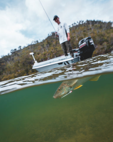 Topwater whiting - Catching whiting on lures - Addict Tackle