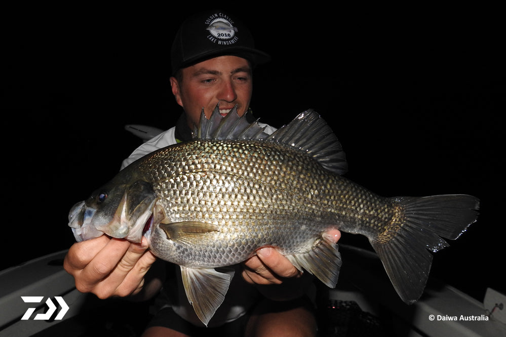 Bass after dark - Fishing World Australia