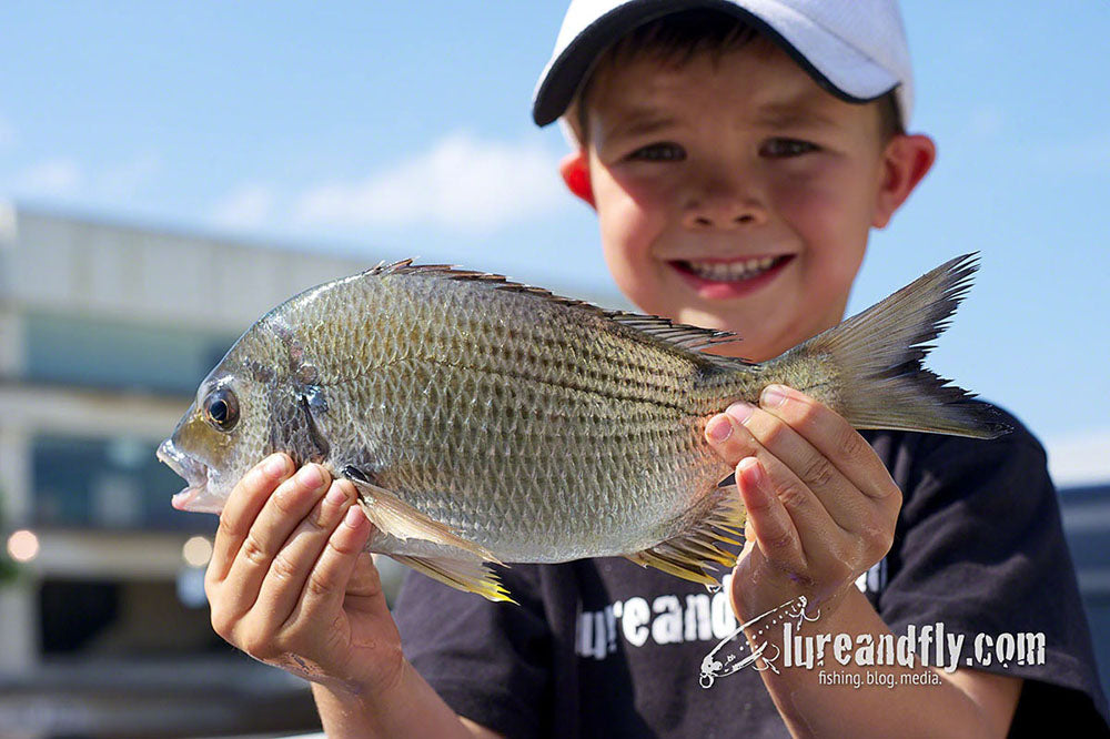 Soft plastics tricks for bream - Bush 'n Beach Fishing Magazine