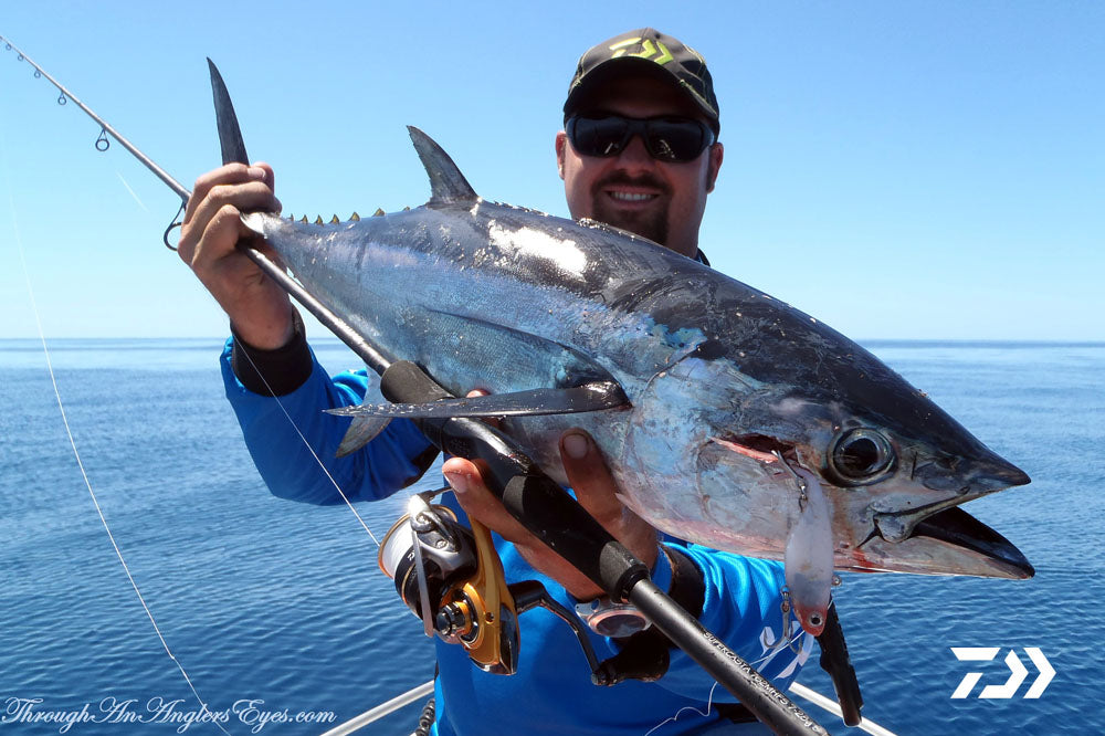 DAIWA FISHING TIPS: Picking the Perfect Pelagic Outfit – Ben